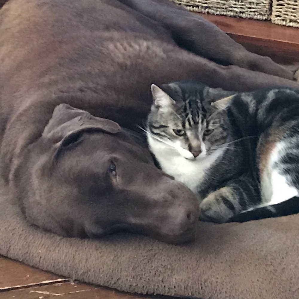 Meet your Posher, Karina